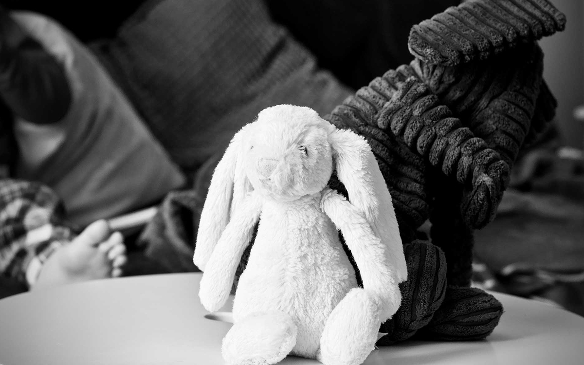 Two stuffed animals on a table